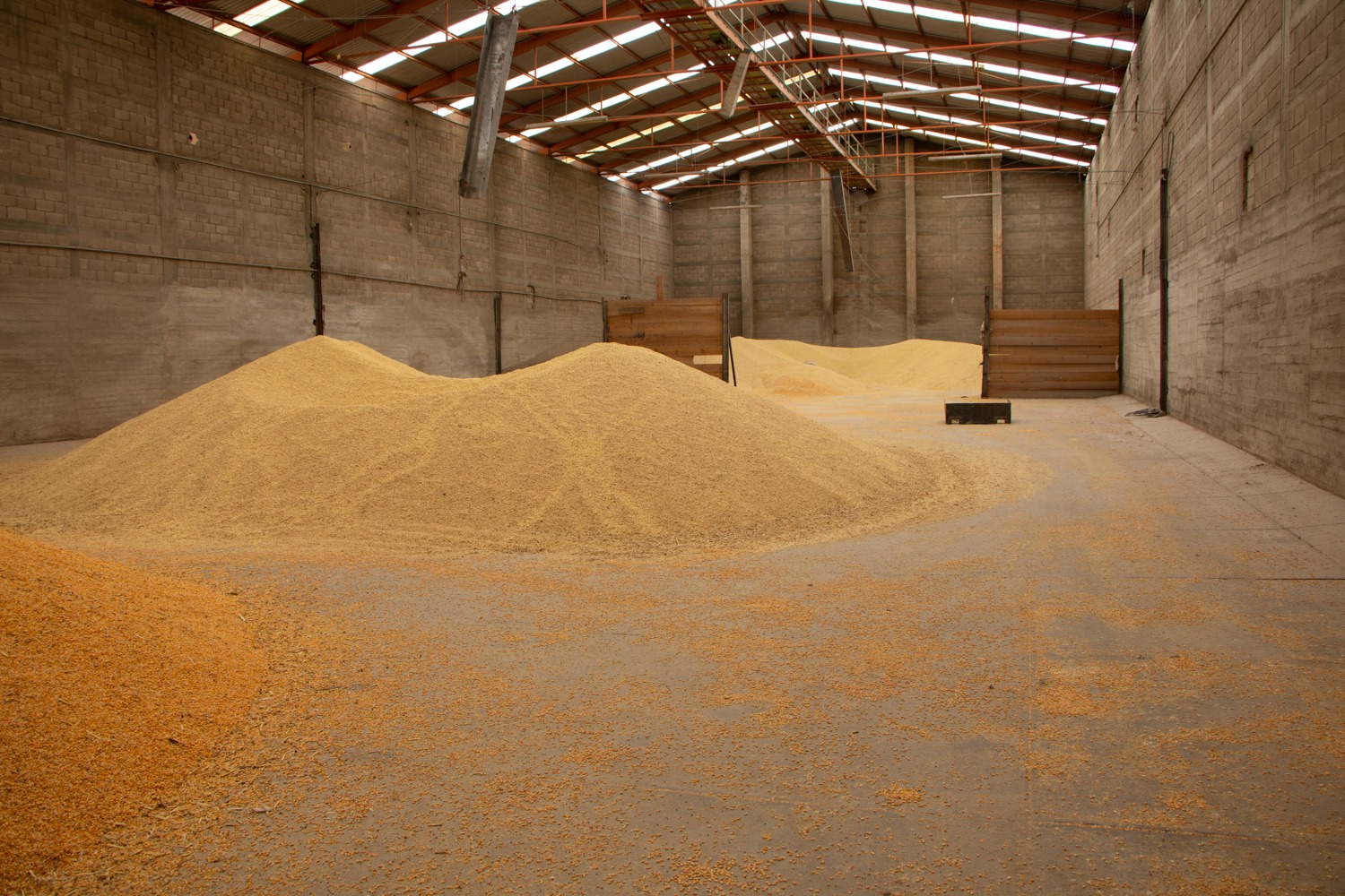 Alimentos Concentrados