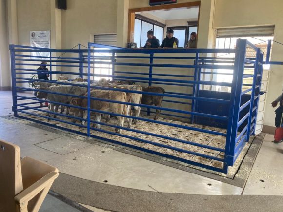 Total semana 3 de 2023